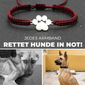 Das neue Hundepfote Armband – Rette Hundeleben