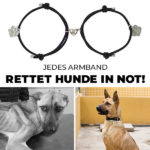 Magnetisches Hundepfote Armband 2er-Set – Rette Hundeleben